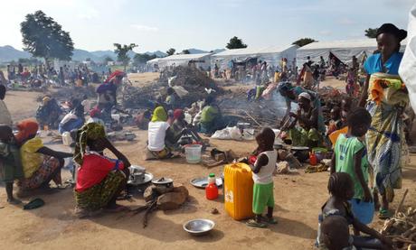 Cameroun-Nigeria : Plus de 7900 réfugiés déjà de retour à la maison