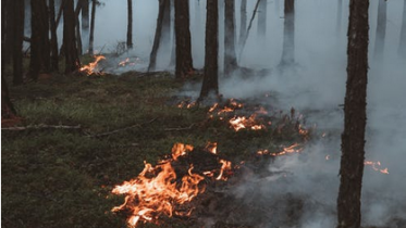 Sébastien  Champion a pris ses fonctions de Directeur régional des ventes