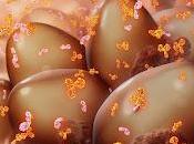 #thelancethaematology #myélomemultiple #indatuximabravtansine #dexamethazone #lenalidomide #pomalidomide Indatuximab ravtansine plus dexaméthasone avec lénalidomide pomalidomide dans myélome multiple rechute réfractaire étude multicen...