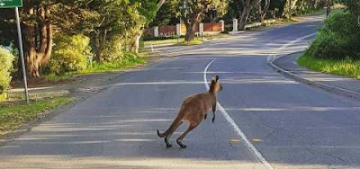 Un premier tour du monde, 58e partie