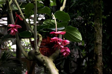 Une escapade à Angers et Saumur… Une escapade à Angers et Saumur…