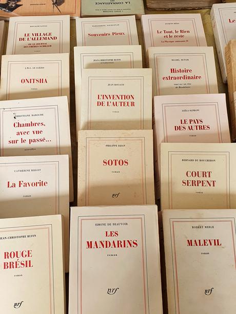 Une escapade à Angers et Saumur… Une escapade à Angers et Saumur…