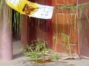 Autorité portuaire nationale Climat suspicion entre employés