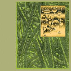 De Beren Gieren De Beren Gieren