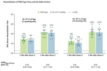 Le niveau de protection 1 mois après la 3è dose est estimé à 85% contre le variant delta  (comme la souche d’origine) chez les jeunes adultes et de 92% chez les adultes plus âgés (Visuel NEJM).
