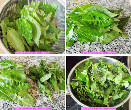 A la découverte de l'épinard Lagos à travers une assiette complète (Vegan)