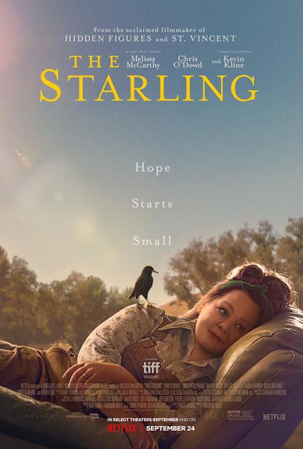Affiche US pour The Starling de Theodore Melfi
