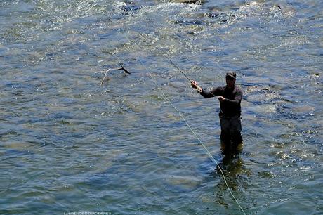 Pêcheurs sur la rivière Matane…
