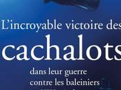 L'incroyable victoire cachalots