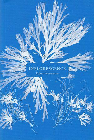Inflorescence, de Raluca Antonescu