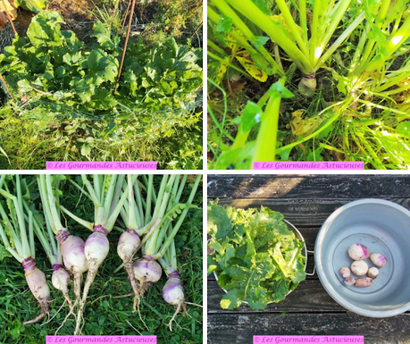 Navets et pommes de terre à la Suédoise ou à la Hasselback (Vegan)
