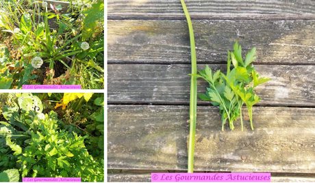 Navets et pommes de terre à la Suédoise ou à la Hasselback (Vegan)