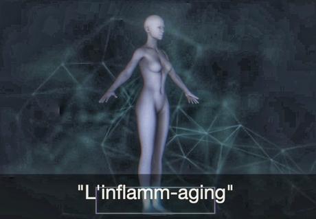 L'inflamm-aging, à l'origine de toutes les maladies