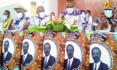 Cameroun – Renouvellement des organes de base : Les militants du Rdpc se déchirent