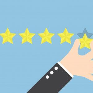 L’intelligence, c’est la capacité à s’adapter à son environnement. Optimiser sa présence en ligne avec Guestsuite