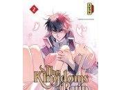 Kingdoms Ruin Yoruhashi