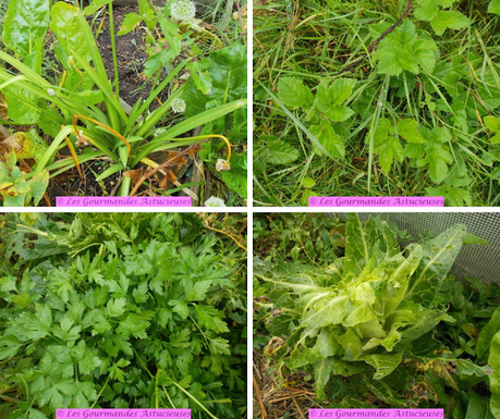 Chou et tofu à la tomate (Vegan)