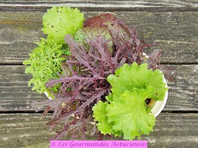 Chou et tofu à la tomate (Vegan)