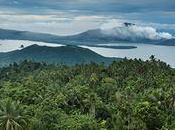 Critique Poumon vert tapis rouge fascinante jungle cinématographique