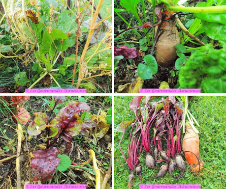 Galettes végétales aux betteraves et aux pois chiches (Vegan)