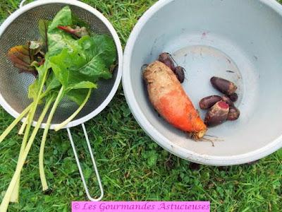 Galettes végétales aux betteraves et aux pois chiches (Vegan)