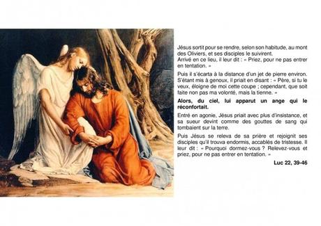 Jour 8 : « Éloigne de moi cette coupe » Jour 8 : « Éloigne de moi cette coupe »