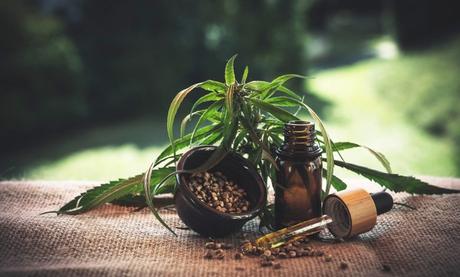Le cannabidiol c’est quoi ? Effets, notoriété et législation