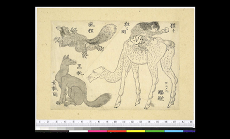 103 dessins inédits de Hokusai au British Museum