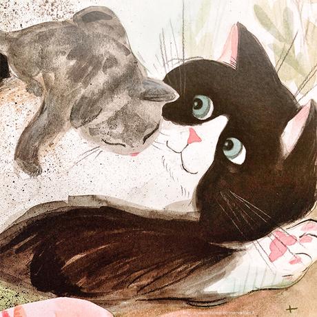 Album jeunesse : 🐱 Les trois chatons 🐱 Album jeunesse : 🐱 Les trois chatons 🐱