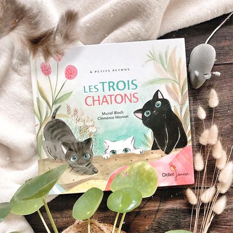Album jeunesse : 🐱 Les trois chatons 🐱 Album jeunesse : 🐱 Les trois chatons 🐱
