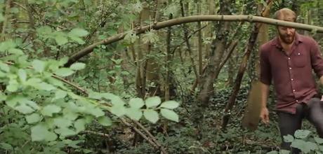 10 plantes sauvages à cueillir durant l'automne