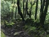 TdF: sommaire mois septembre 2021