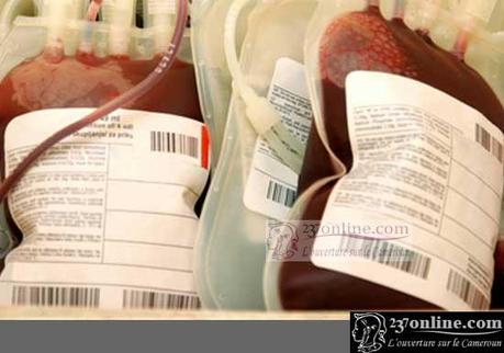Cameroun – Transfusion sanguine : Pourquoi le receveur paye