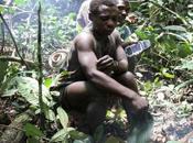 Cameroun L’art chasse chez pygmées Baka