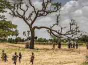 restauration terres dégradées Afrique progresse lentement nécessite efforts accrus (FAO)