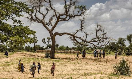 La restauration des terres dégradées en Afrique progresse lentement et nécessite des efforts accrus (FAO)