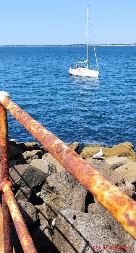 Projet 52-2021 #39 – Métallique