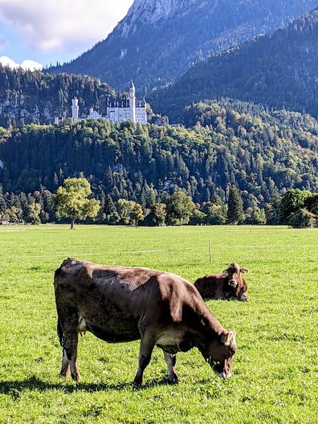 Schwangau / Neuschwanstein — 20 Photos