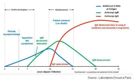 Infection ou vaccination : quelle est la meilleure protection contre le covid-19 ?
