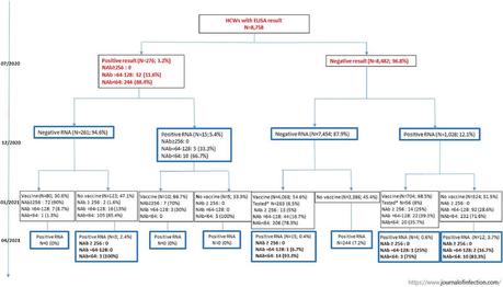 Infection ou vaccination : quelle est la meilleure protection contre le covid-19 ?