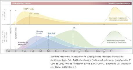 Infection ou vaccination : quelle est la meilleure protection contre le covid-19 ?