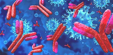 Infection ou vaccination : quelle est la meilleure protection contre le covid-19 ?