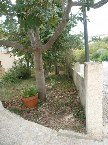 DIVERS TRAVAUX DEPUIS UN MOIS travaux,béton,portail,crépi,mur,muret de pierres,jardin,projets,pelouse