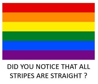 Éducation : le bac ne vaut plus rien mais au moins, vous pourrez choisir vos pronoms Éducation : le bac ne vaut plus rien mais au moins, vous pourrez choisir vos pronoms