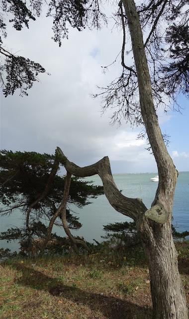quand ça nous chante
