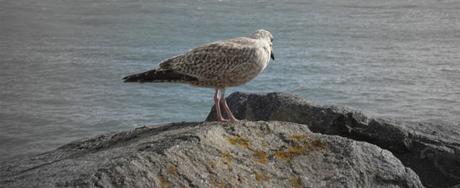 quand ça nous chante