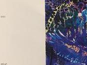 Galerie Guillaume exposition Elzbieta Radziwill Escape