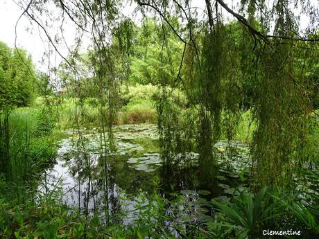 Séjour en Ariège - Le Parc aux Bambous à Lapenne Séjour en Ariège - Le Parc aux Bambous à Lapenne