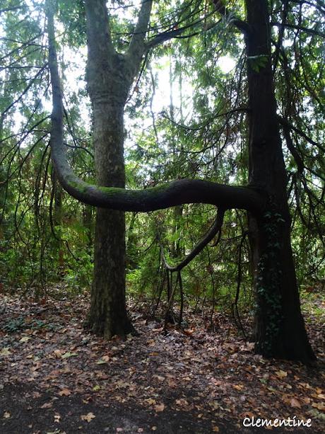 Séjour en Ariège - Le Parc aux Bambous à Lapenne