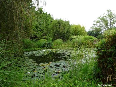 Séjour en Ariège - Le Parc aux Bambous à Lapenne Séjour en Ariège - Le Parc aux Bambous à Lapenne